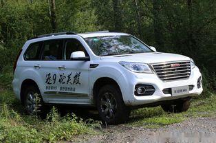 国产5系越野视频大全集,视频大全集深度解析