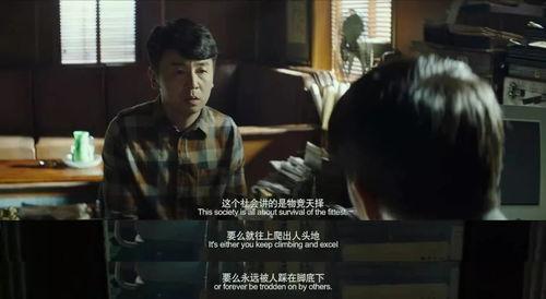 9国产情线视频,描绘时代变迁下的爱情故事
